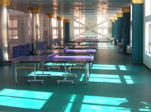 乒乓球运动地板